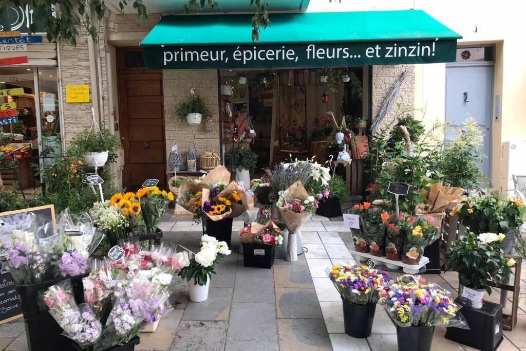 La Petite Oasis, Newly Renovated